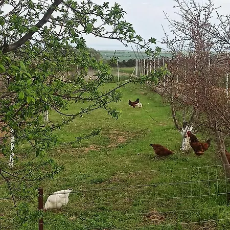 ενοικιαζομενο με θεα στην εξοχη Rodokipos