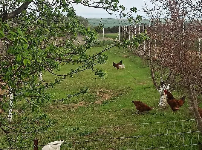 2m Kallikrateia Rodokipos